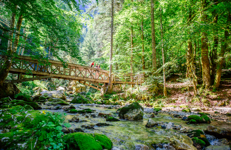 Passerelle du Cirque de St Mme