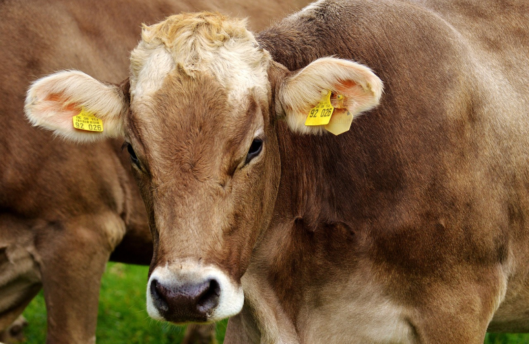 Ferme de la Revole