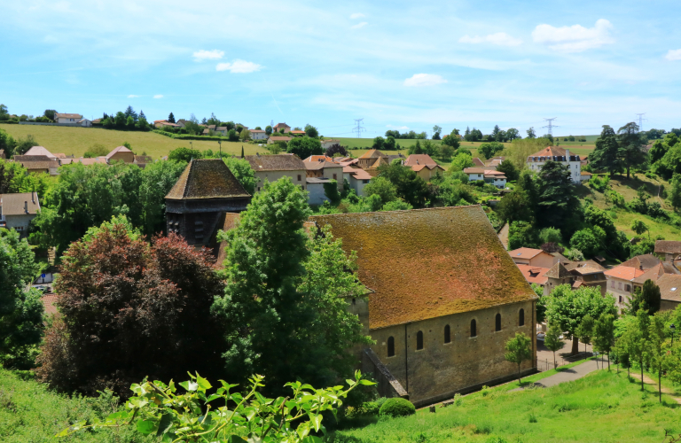 Vue sur l'abbatiale depuis le jardin Patricot