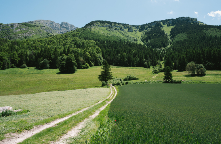 Le sentier Gobert