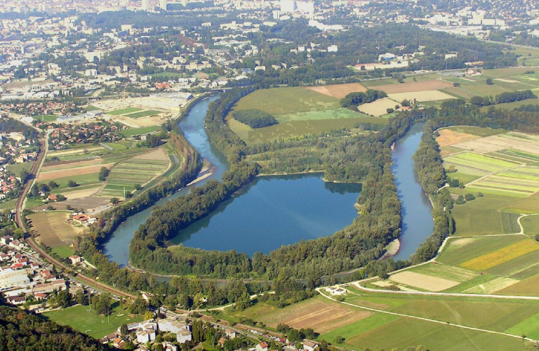 Oiseaux d&#039;eau et des forêts