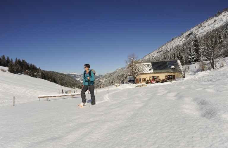 Le Plateau des Allières