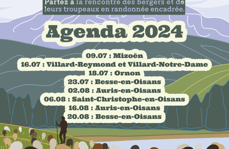 ANNULÉ - Sortie en alpage à la rencontre du berger et de son troupeau