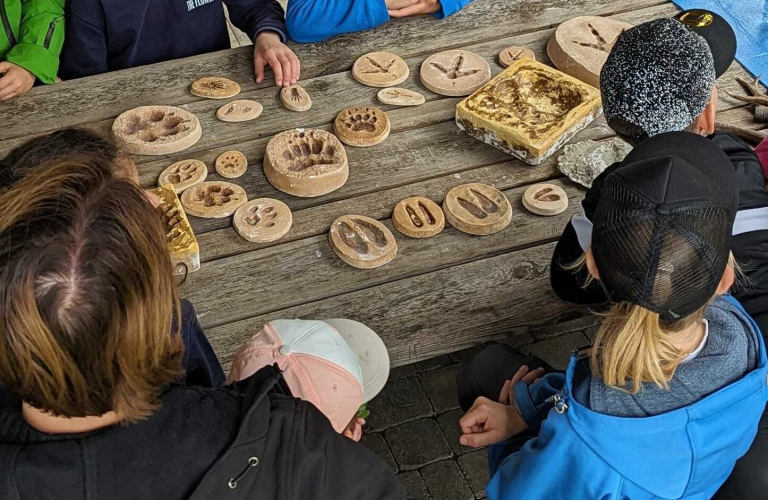 Atelier &quot;Empreintes d&#039;animaux&quot;