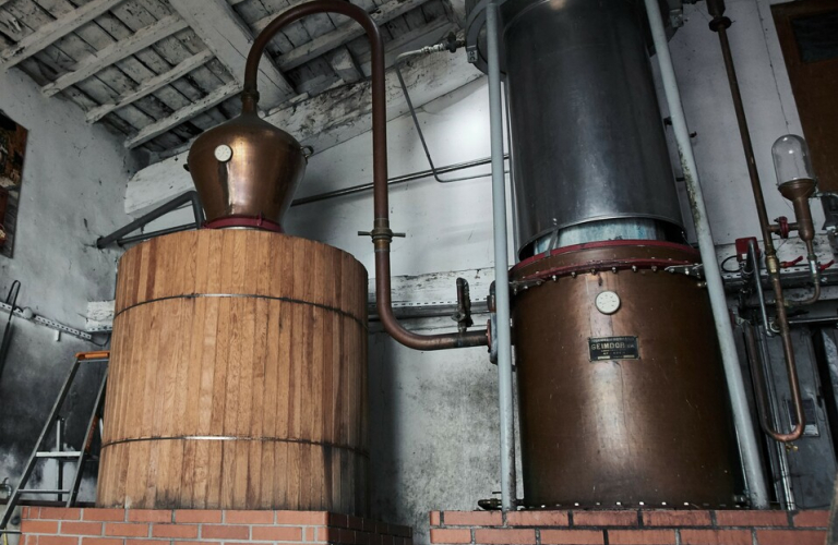 Visite d&#039;un verger centenaire et de la distillerie Maison Colombier