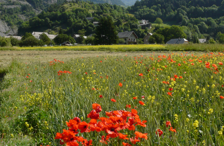 Parcours sonore au Périer