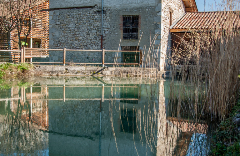 Visite guidée du Moulin des Ayes et de son jardin