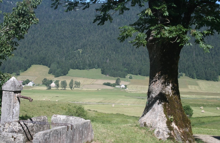 21 Le Bois des Dames, circuit VTT n&amp;#176;21, rouge