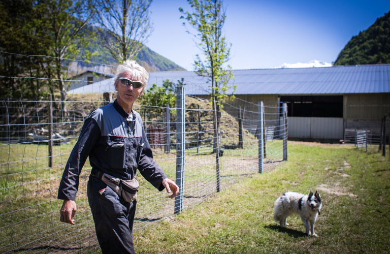 La Ferme des Bisons de l&#039;Oisans - Éleveur de bisons et agneaux - Ferme découverte