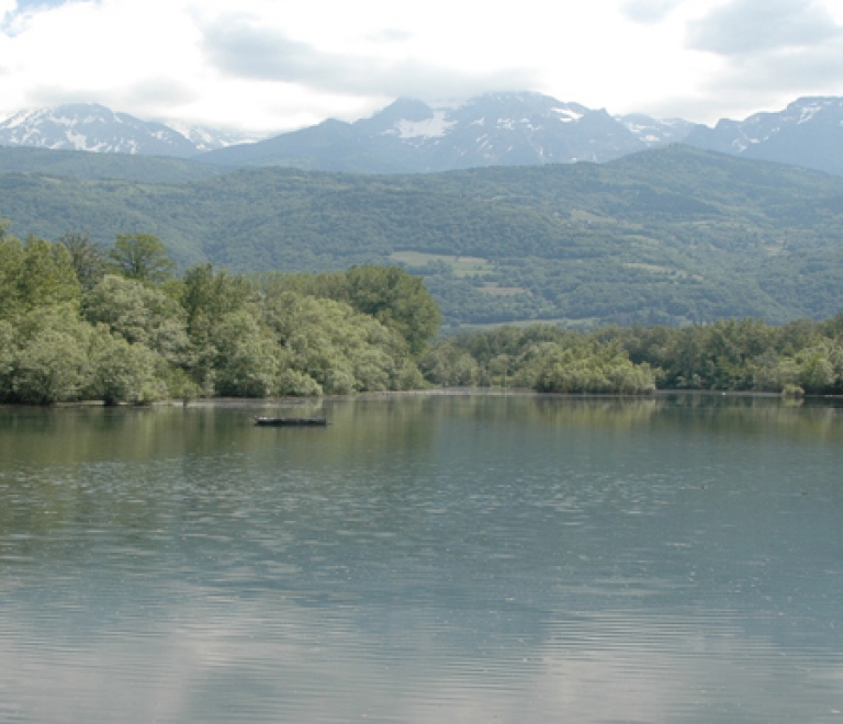 Bois de la bâtie