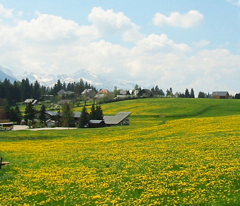 OTI Vercors - Bureau d&#039;information touristique de Lans en Vercors