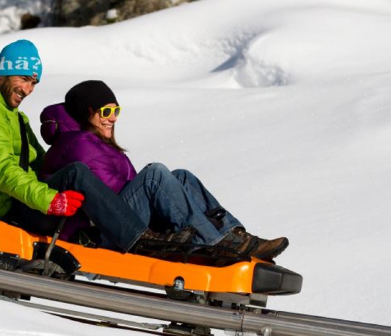 Speed Luge Vercors