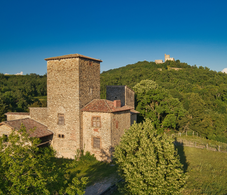 Maison Forte des Allinges