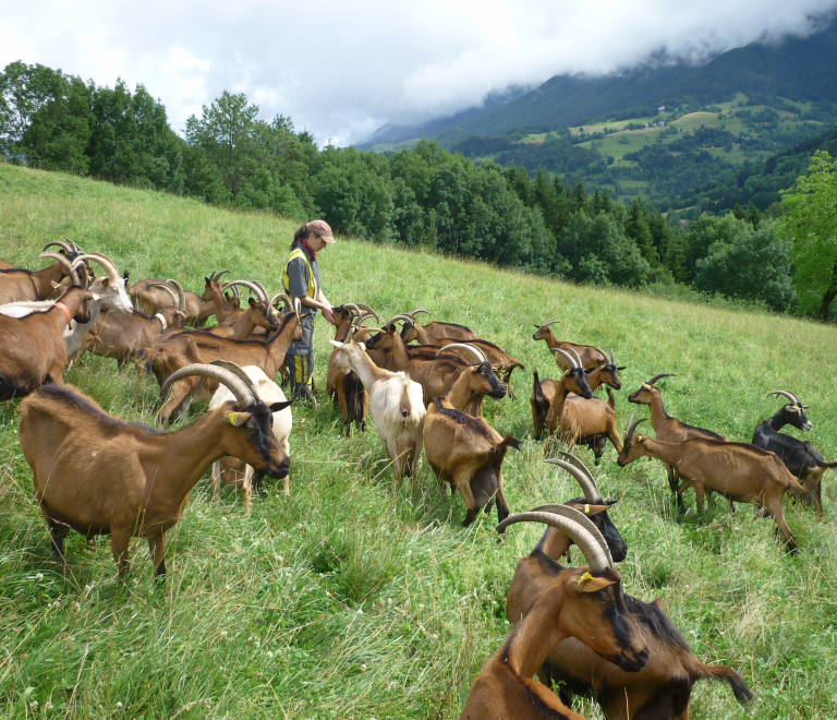 La Ferme de Labérou