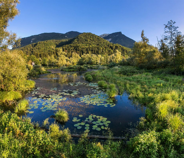 Espace Naturel Sensible des Tourbières de l&#039;Herretang