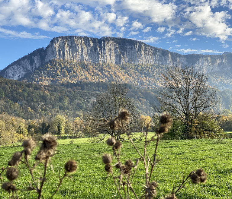 Vue sur le massif de Chartreuse