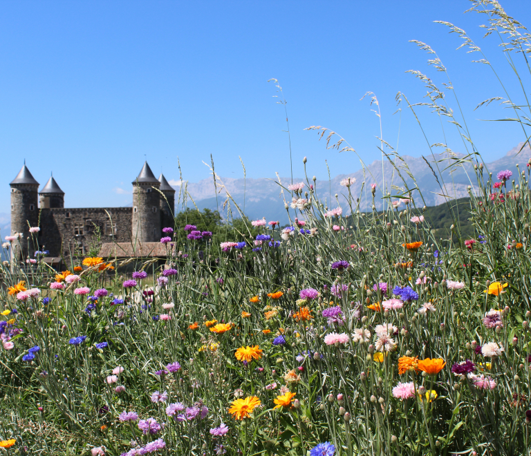 Château  de Bon Repos