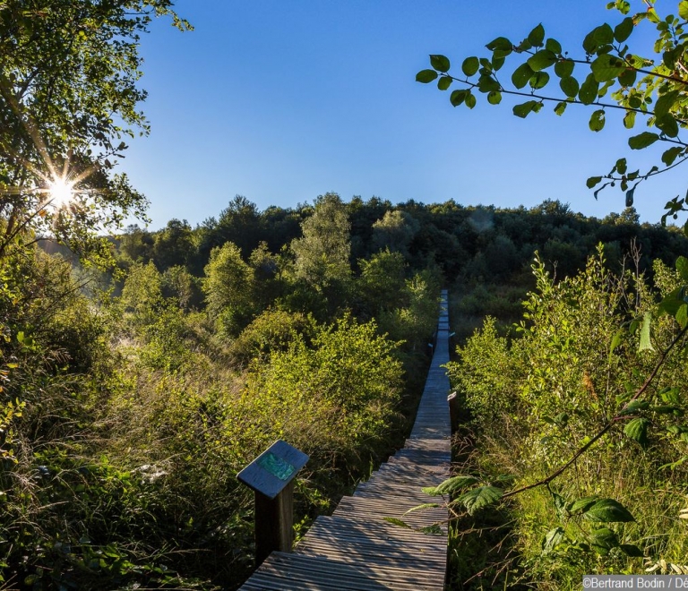 Espace naturel sensible de la Tourbière des Planchettes