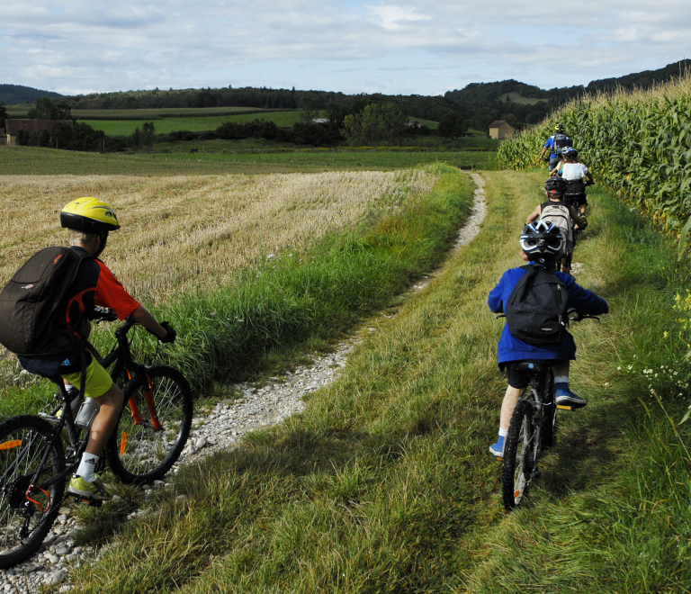 Circuit VTT le champ des vaches