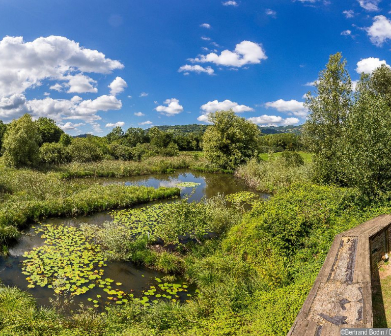 Sentier Boucle des Moles