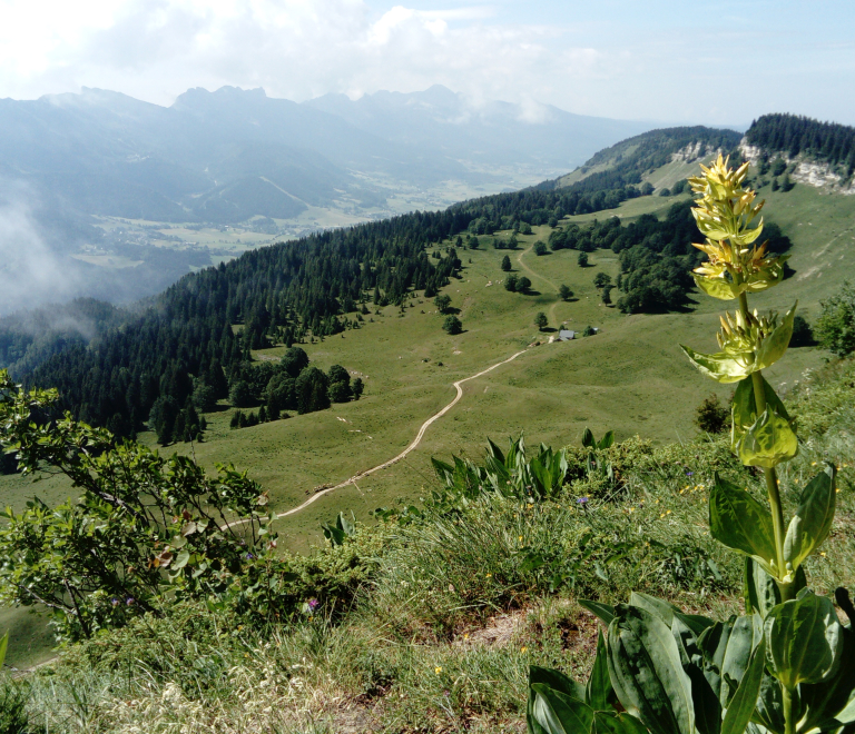 Randonnée de crêtes en vallons - Bureau des Guides