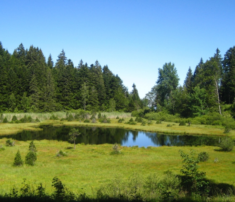 Rserve Naturelle du luitel - Schilienne