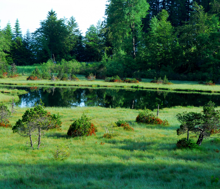 Rserve Naturelle du Lac Luitel