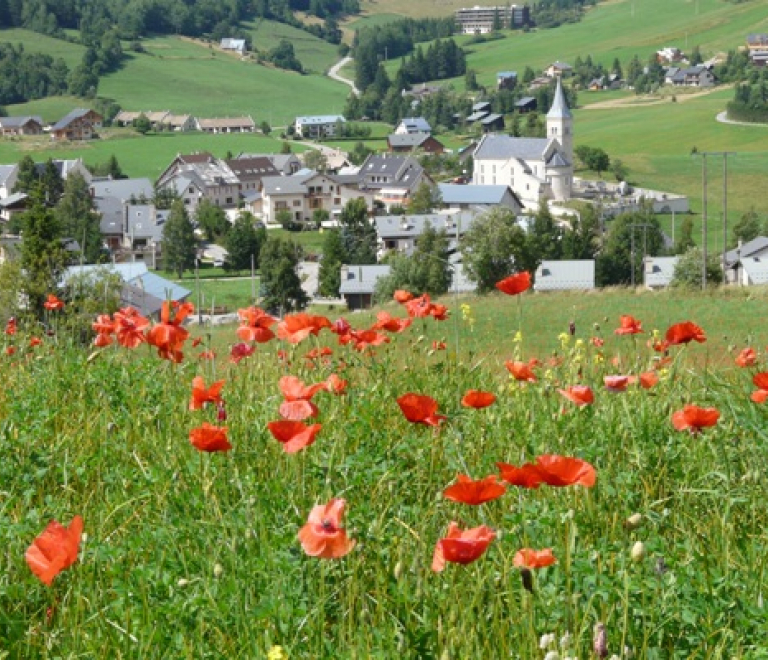 Dcouverte du patrimoine