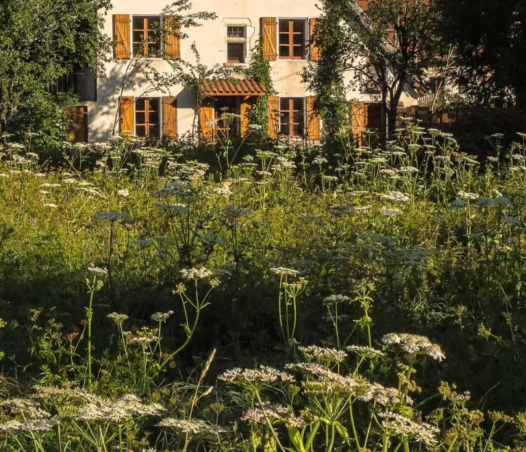 Grand gîte Narcisse