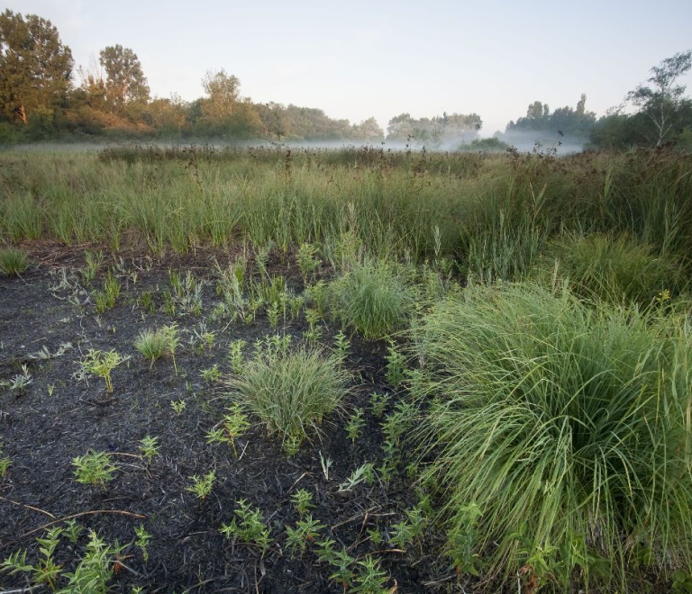 Espace Naturel Sensible Marais de la Lchre