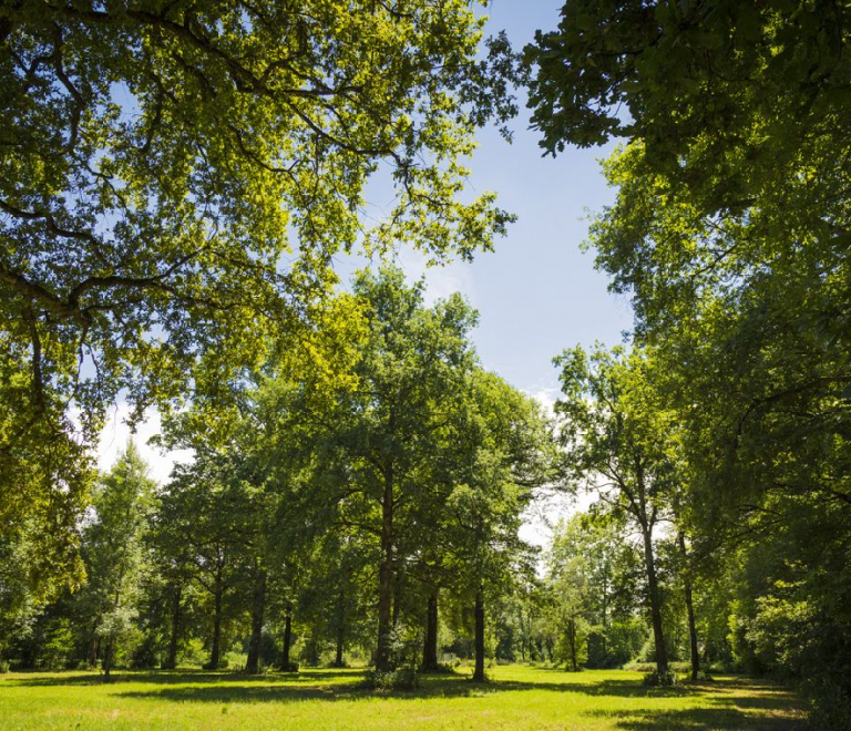 ENS de la Save secteur de la Laurentire