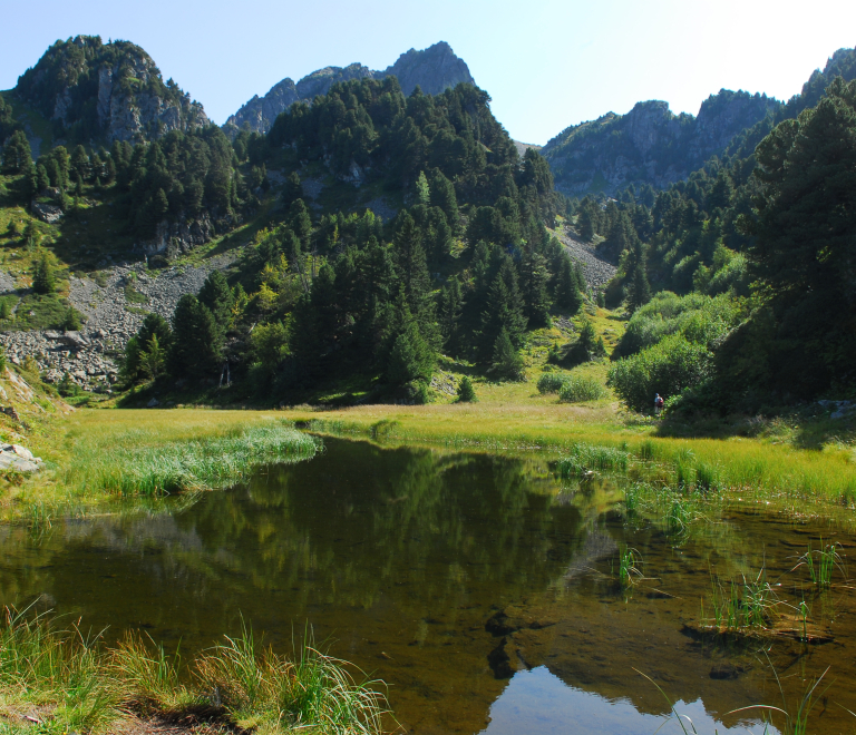 Photo lac des Pourettes