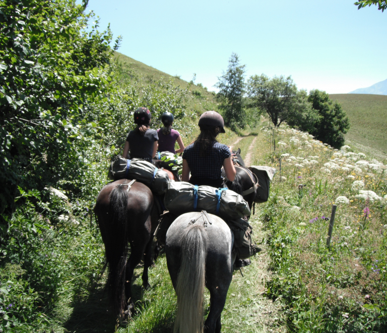 Dcouverte des alpages du sud-Isre  cheval