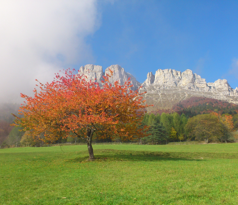 4. Du Grand-Veymont aux Deux-Sœurs