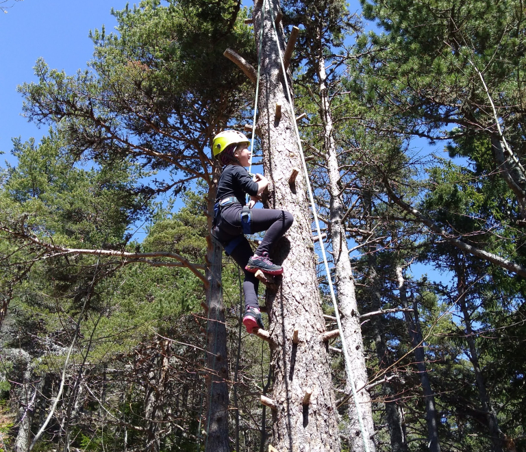 Escalad&#039;arbre