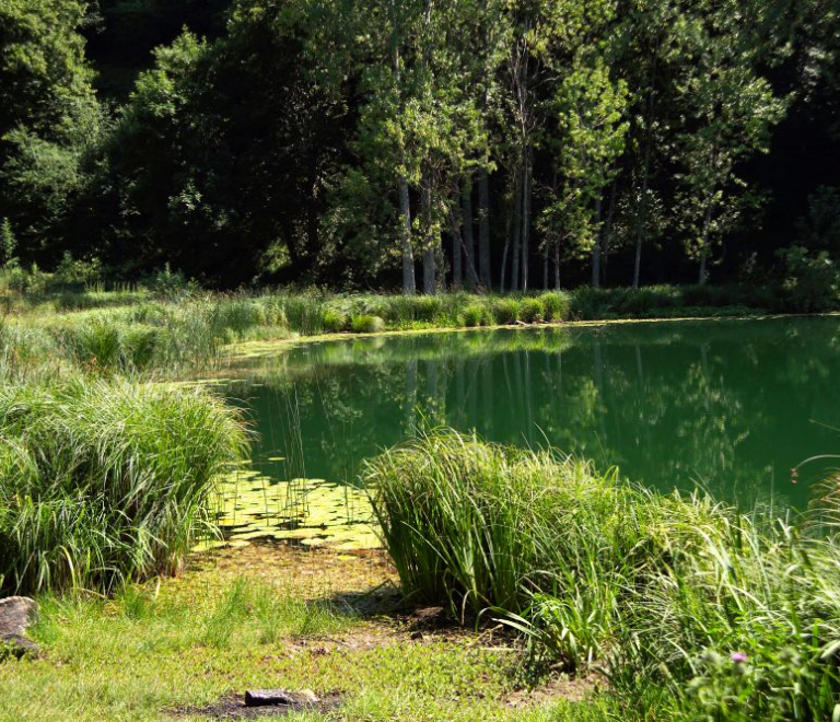 Photo Lac de Saint Sixte Valdaine