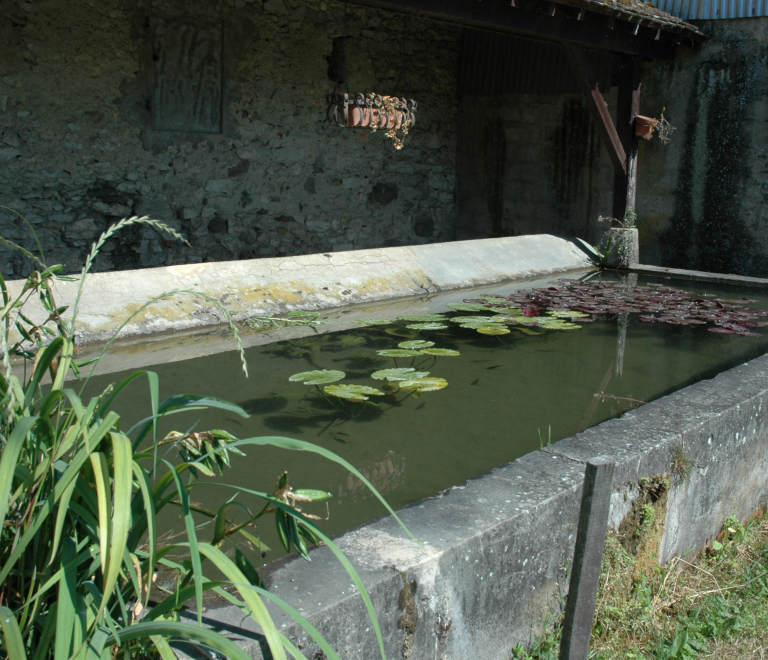 Lavoir Vignieu - OTSI Morestel