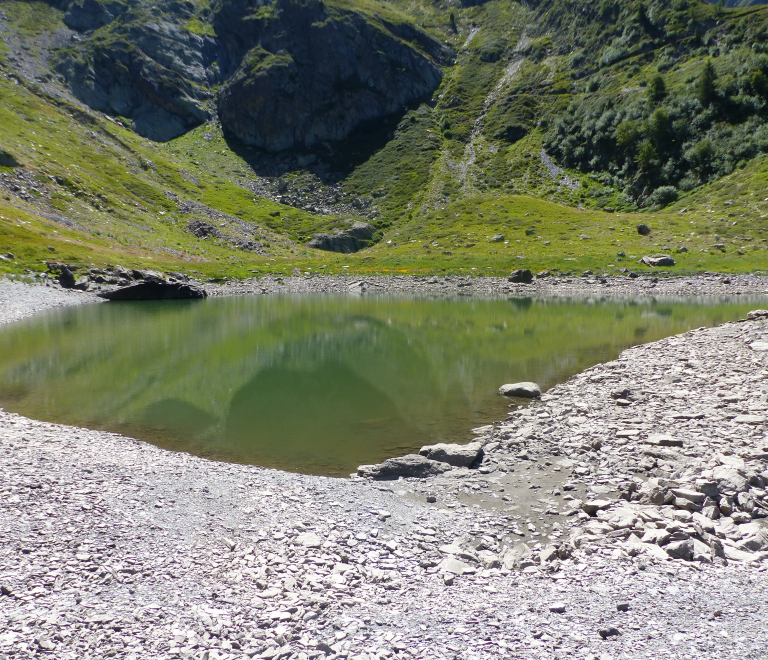 Lec lac dans son crin de verdure