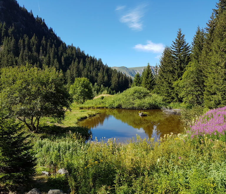 Lac de Prévourey - 8 km - Bleu