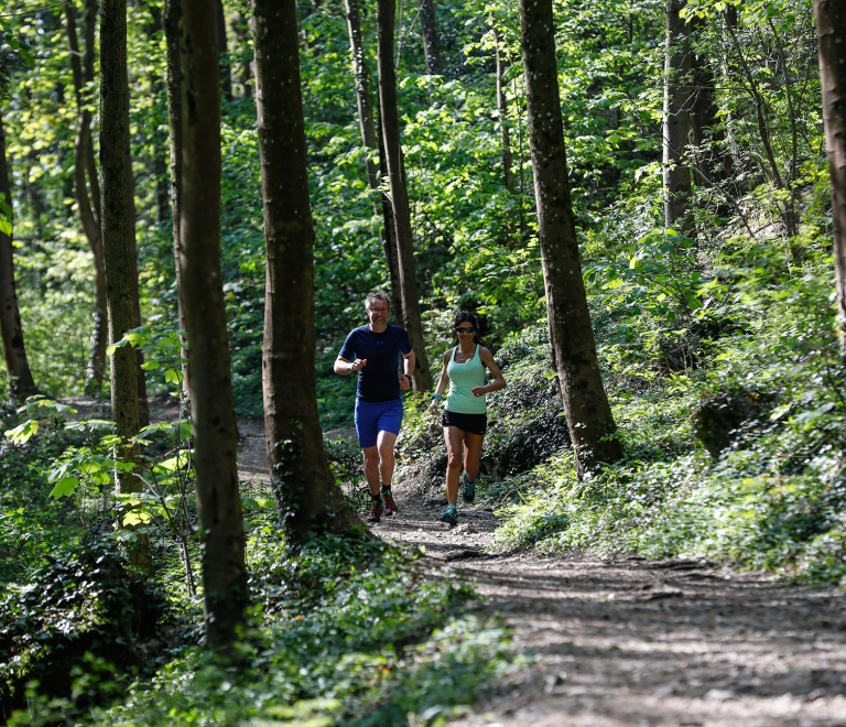 Trail "Bois des Vouillants"