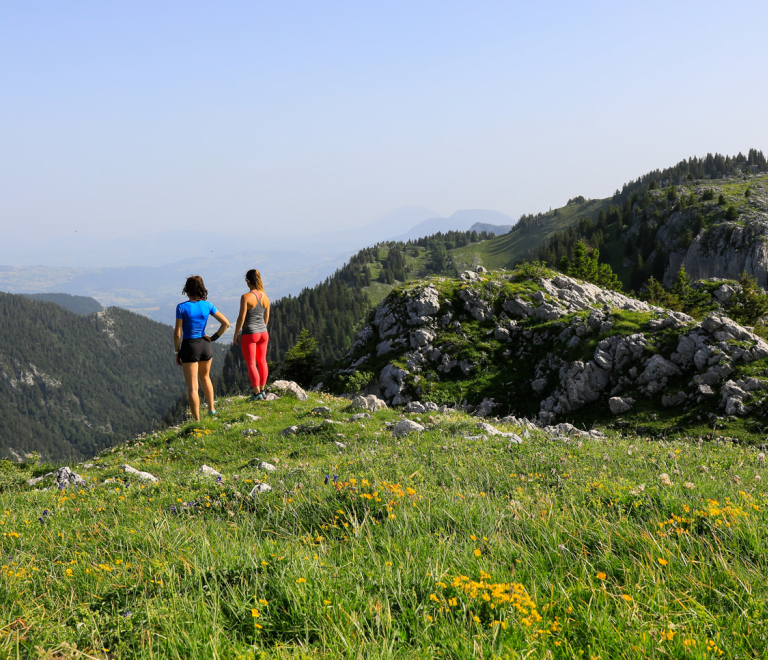 Trail " Col de Porte "