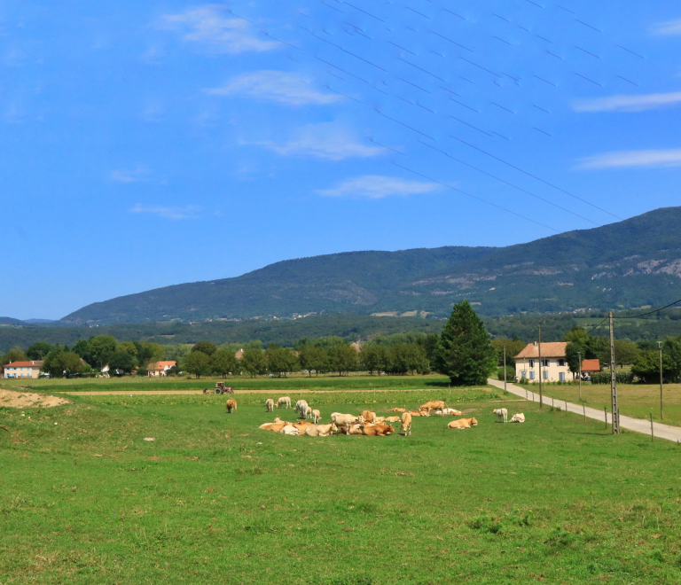 La Tour des Saveurs - producteur - Brangues - Balcons du Dauphin - Nord-Isre-  moins d'une heure de Lyon