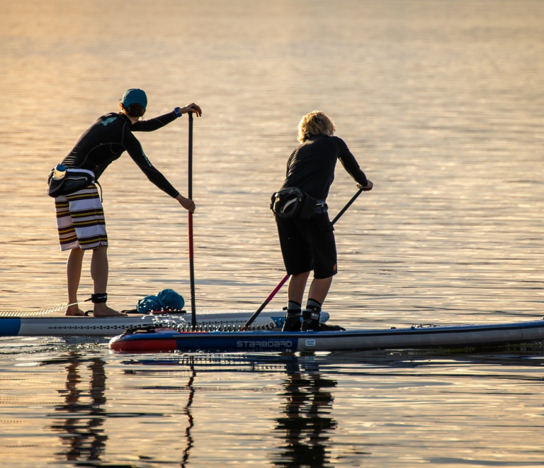 Paddle Board