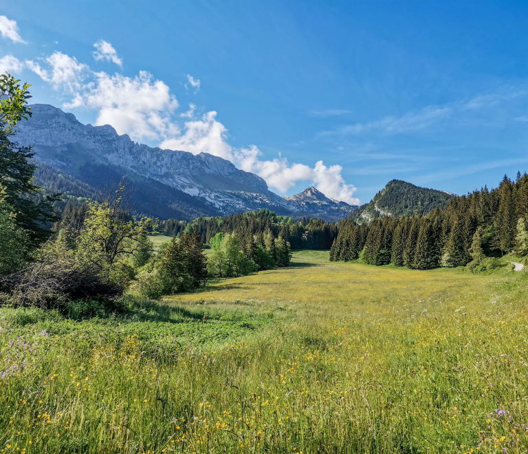 Vallon de la Fauge