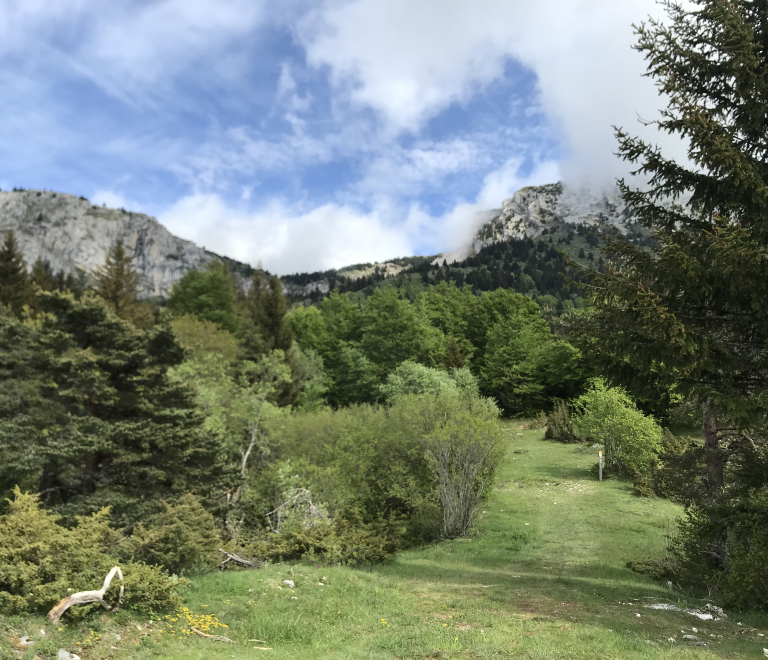 depuis le belvdre, vue sur la monte au Col de l'Arc