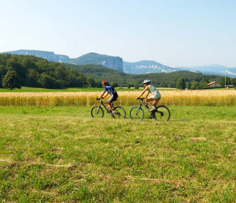 Base VTT Royans-Coulmes | Circuit 08 : Le Col de Romeyère