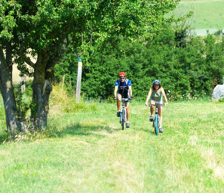 Base VTT Royans-Coulmes | Circuit 17 : Charvolet