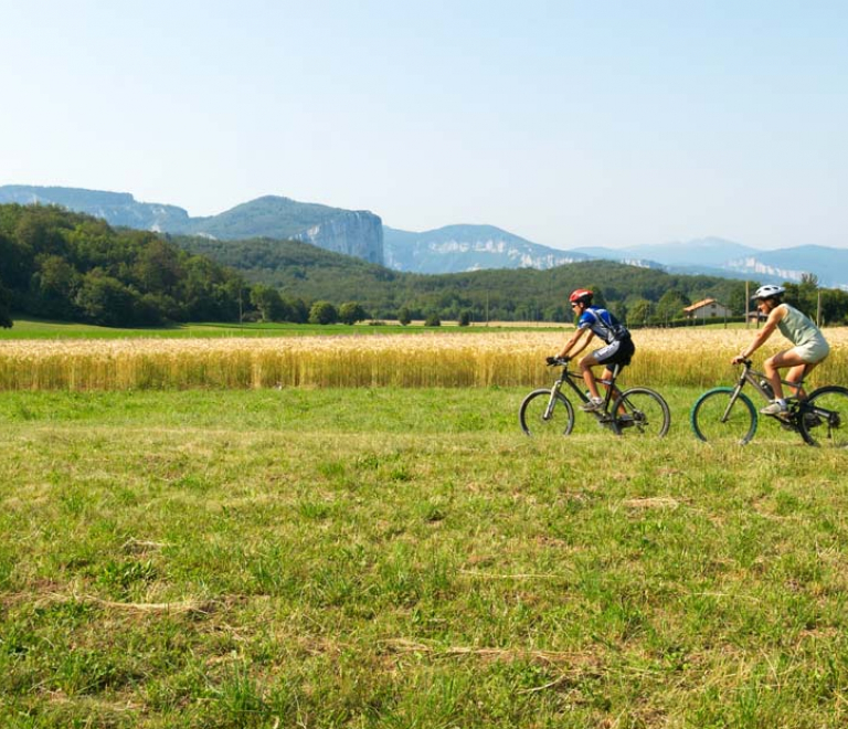 Base VTT Royans-Coulmes | Liaison 01 : Au départ de Saint-André-en-Royans