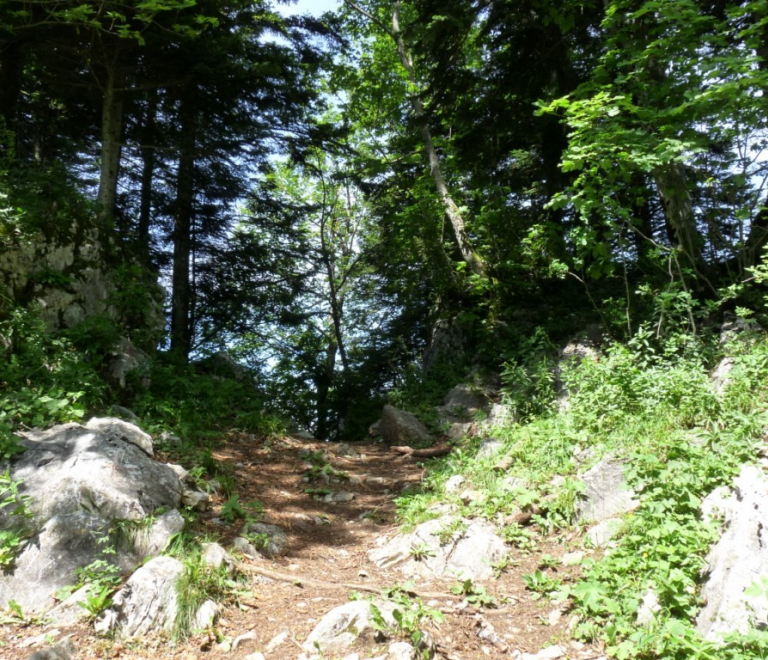 Parcours d&#039;orientation pédestre difficile