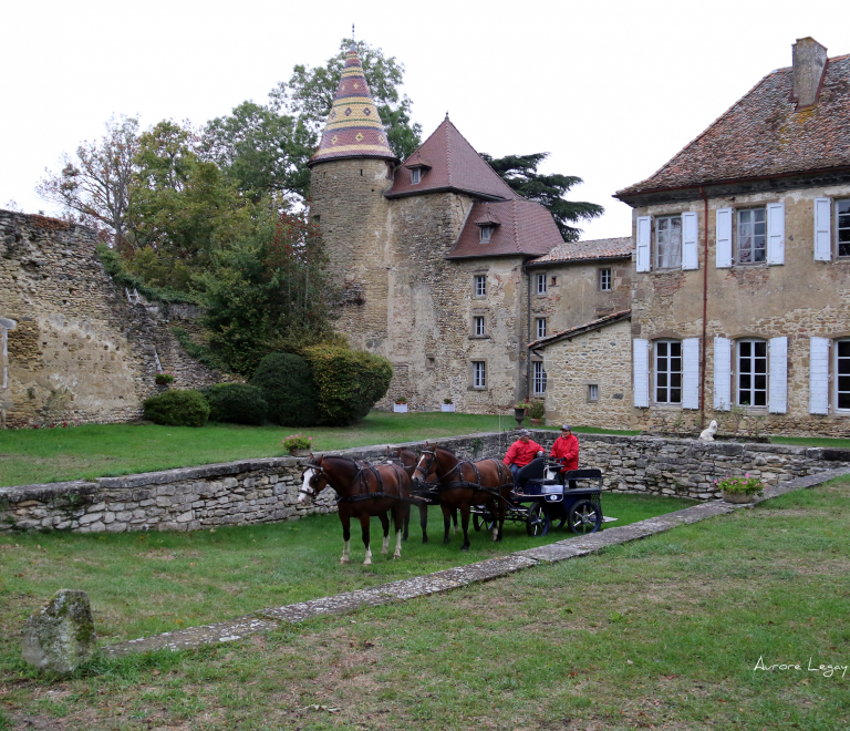 Chateau de Vallin